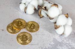 Money And Cotton Commodities