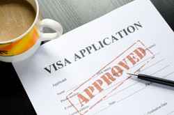 Visa Application Form 
