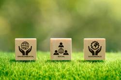 ESG Diagram On Blocks