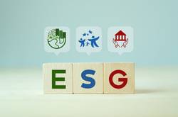 ESG Diagram On Blocks