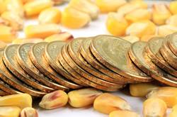 Coins And Corn Kernels