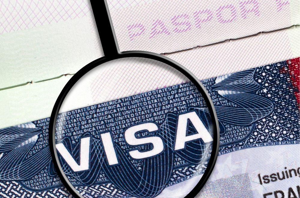 Visa Under Microscope